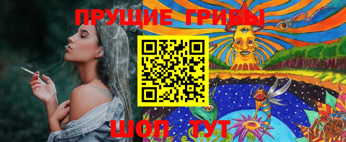 Кирово-Чепецк  Псилоцибиновые грибы ЛСД  Вход с VPN 